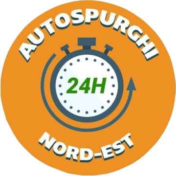 AUTOSPURGHI NORD EST SRLS